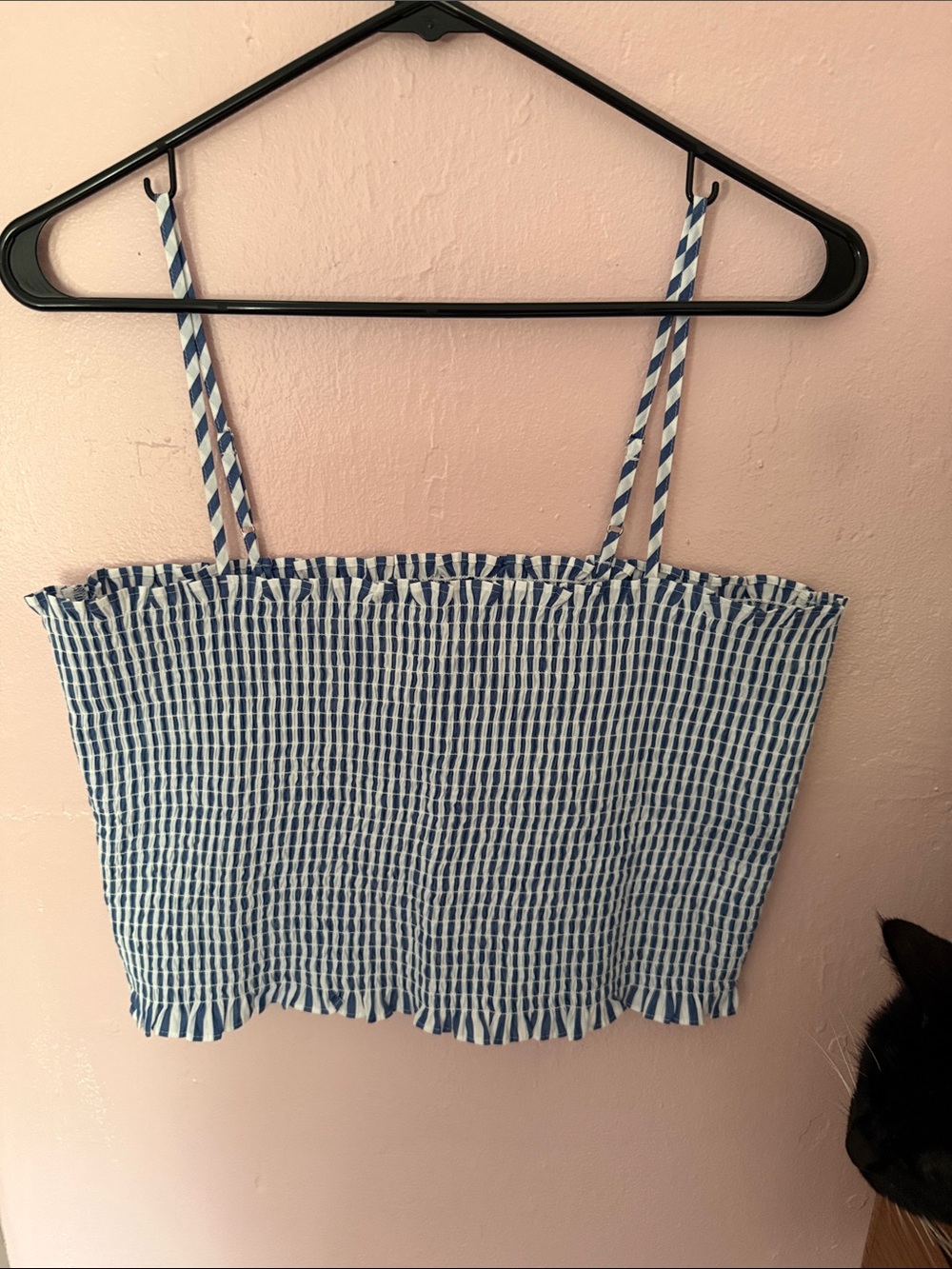 Blue and White Smocked Crop Tank Top